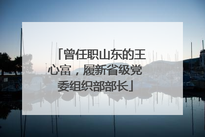 曾任职山东的王心富，履新省级党委组织部部长