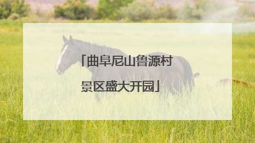 曲阜尼山鲁源村景区盛大开园