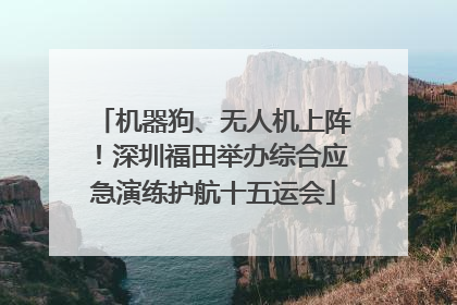 机器狗、无人机上阵！深圳福田举办综合应急演练护航十五运会