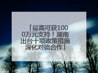 最高可获1000万元支持！湖南出台十项政策措施深化对德合作