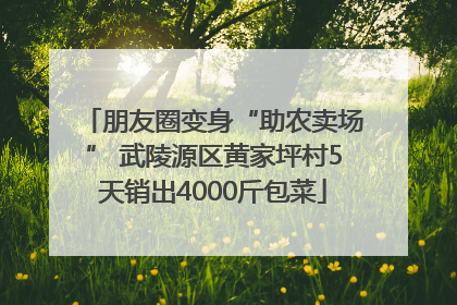 朋友圈变身“助农卖场” 武陵源区黄家坪村5天销出4000斤包菜