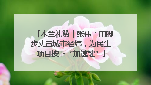 木兰礼赞｜张伟：用脚步丈量城市经纬，为民生项目按下“加速键”