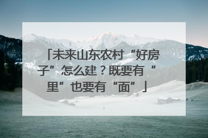 未来山东农村“好房子”怎么建？既要有“里”也要有“面”