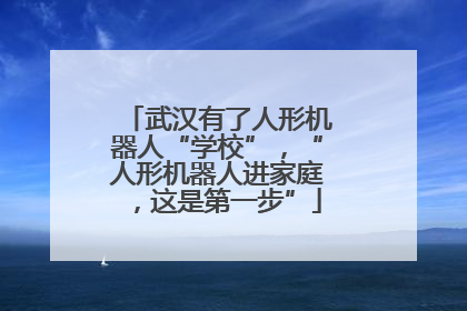 武汉有了人形机器人“学校”，“人形机器人进家庭，这是第一步”