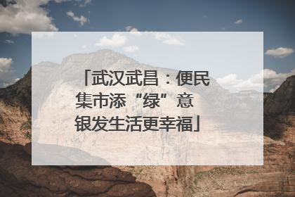 武汉武昌：便民集市添“绿”意 银发生活更幸福