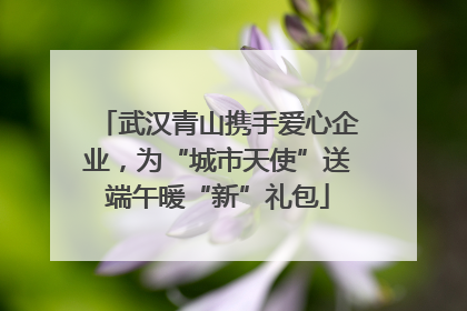 武汉青山携手爱心企业，为“城市天使”送端午暖“新”礼包
