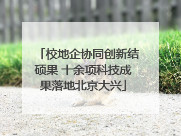 校地企协同创新结硕果 十余项科技成果落地北京大兴