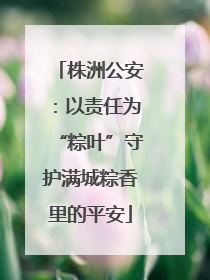 株洲公安：以责任为“粽叶”守护满城粽香里的平安