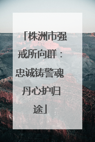 株洲市强戒所向群：忠诚铸警魂 丹心护归途
