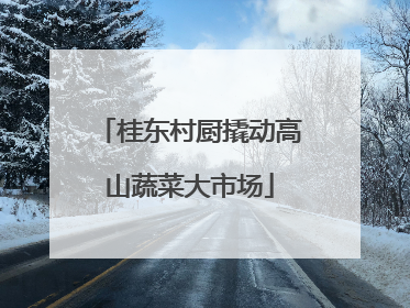 桂东村厨撬动高山蔬菜大市场