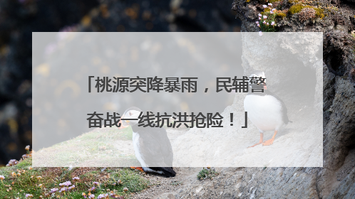 桃源突降暴雨，民辅警奋战一线抗洪抢险！