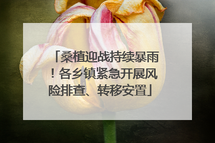 桑植迎战持续暴雨！各乡镇紧急开展风险排查、转移安置