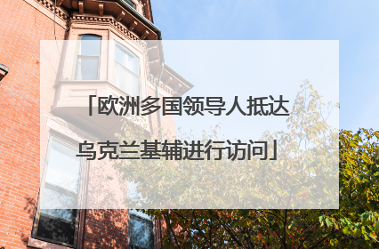 欧洲多国领导人抵达乌克兰基辅进行访问