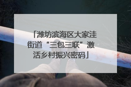 潍坊滨海区大家洼街道“三包三联”激活乡村振兴密码