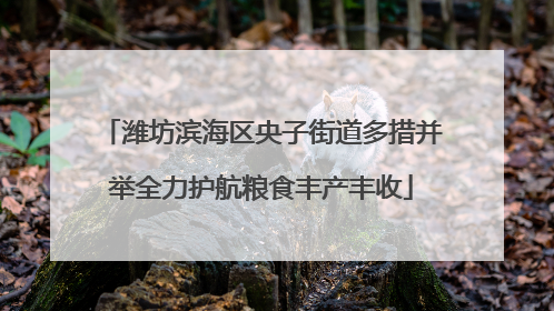潍坊滨海区央子街道多措并举全力护航粮食丰产丰收
