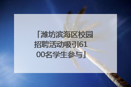 潍坊滨海区校园招聘活动吸引6100名学生参与