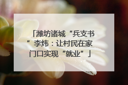 潍坊诸城“兵支书”李炜：让村民在家门口实现“就业”