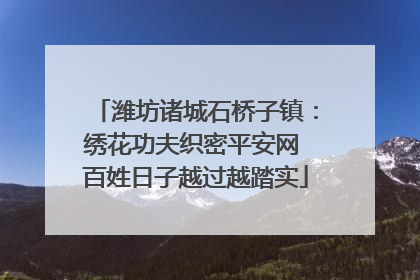 潍坊诸城石桥子镇：绣花功夫织密平安网 百姓日子越过越踏实