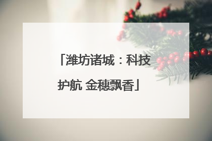 潍坊诸城：科技护航 金穗飘香