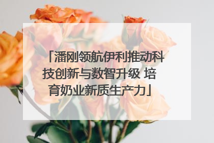 潘刚领航伊利推动科技创新与数智升级 培育奶业新质生产力