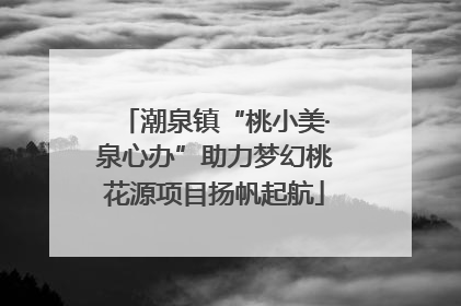 潮泉镇“桃小美·泉心办”助力梦幻桃花源项目扬帆起航