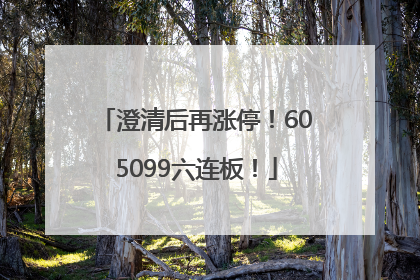 澄清后再涨停！605099六连板！