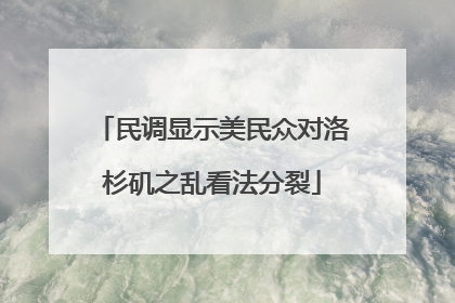 民调显示美民众对洛杉矶之乱看法分裂