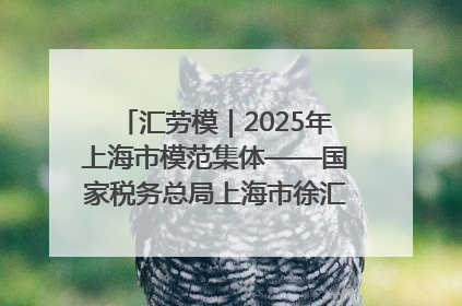 汇劳模｜2025年上海市模范集体——国家税务总局上海市徐汇区税务局第一税务所