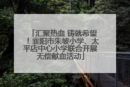 汇聚热血 铸就希望！襄阳市朱坡小学、太平店中心小学联合开展无偿献血活动