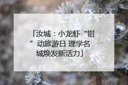 汝城：小龙虾“钳”动旅游日 理学名城焕发新活力