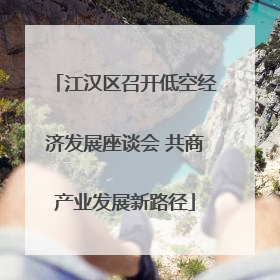 江汉区召开低空经济发展座谈会 共商产业发展新路径