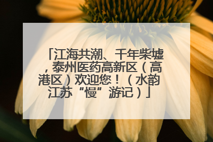 江海共潮、千年柴墟，泰州医药高新区（高港区）欢迎您！（水韵江苏“慢”游记）