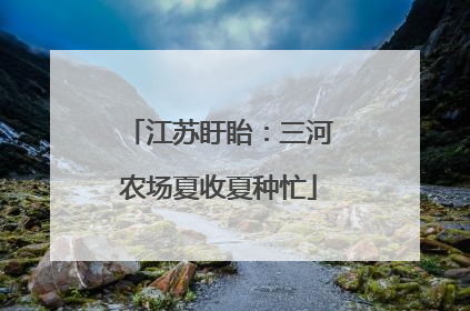 江苏盱眙：三河农场夏收夏种忙