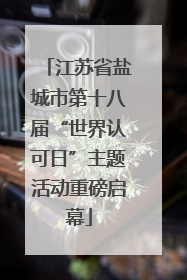 江苏省盐城市第十八届“世界认可日”主题活动重磅启幕
