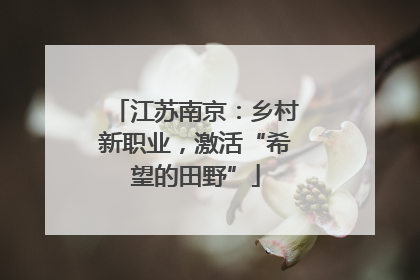 江苏南京：乡村新职业，激活“希望的田野”