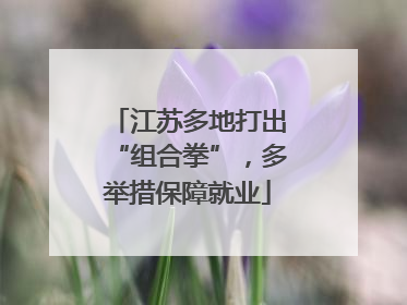 江苏多地打出“组合拳”，多举措保障就业
