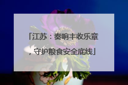 江苏：奏响丰收乐章，守护粮食安全底线