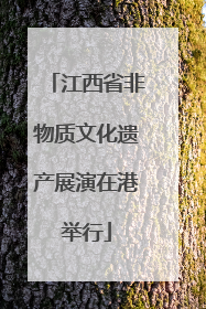 江西省非物质文化遗产展演在港举行