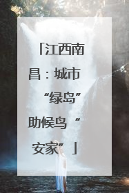 江西南昌：城市“绿岛”助候鸟“安家”