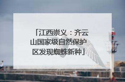 江西崇义：齐云山国家级自然保护区发现蜘蛛新种