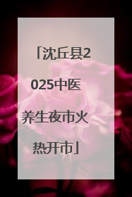 沈丘县2025中医养生夜市火热开市