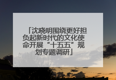 沈晓明围绕更好担负起新时代的文化使命开展“十五五”规划专题调研