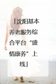 沈阳基本养老服务综合平台“盛情康养”上线