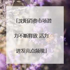 沈阳消费市场潜力不断释放 活力迸发亮点频现