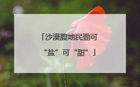 沙漠腹地民勤可“盐”可“甜”