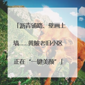 沥青铺路、壁画上墙……黄陂老旧小区正在“一键美颜”