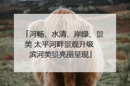 河畅、水清、岸绿、景美 太平河畔景观升级 滨河美景亮丽呈现