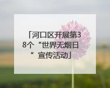 河口区开展第38个“世界无烟日”宣传活动