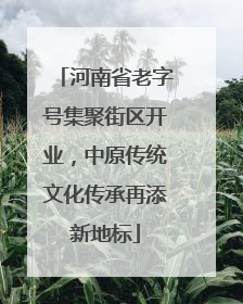 河南省老字号集聚街区开业，中原传统文化传承再添新地标