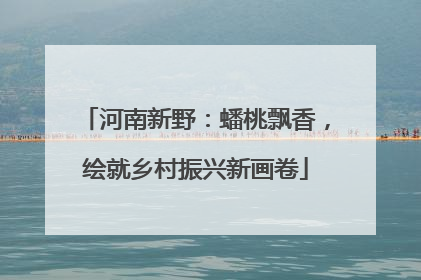 河南新野：蟠桃飘香，绘就乡村振兴新画卷